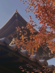 5509CCDB-BF32-4752-A926-1F885CD3A6DF/L0/001