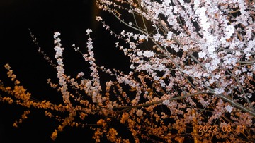 6A900F65-E7D7-4AB6-9A2E-92FE69E0FBA9/L0/001
