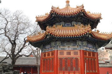 1ED3E341-5CD3-4A41-B97A-A1F28B345A47/L0/001