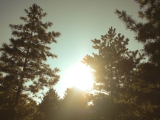 PA010537_edit.jpg