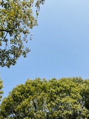D57CDC44-DB3C-469F-934F-43CFB172DDD5/L0/001