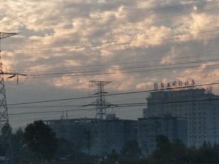 509