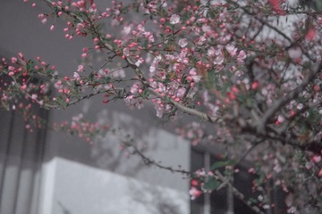 43EF603B-2A56-40A0-93B6-DA6CE36D8DB5/L0/001