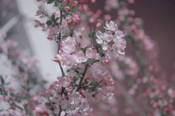 FF763E43-C356-4A5D-84CF-1D6ADF3EB2BF/L0/001