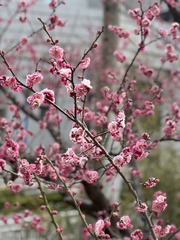 8E2625C6-2AB6-4050-B525-129024440535/L0/001
