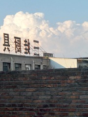267071