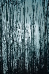 9CB7A002-3A46-4C42-8EA5-35940EADDF67/L0/001