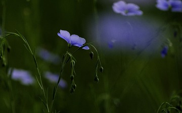 390