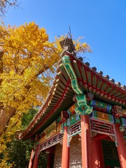 64B25022-1327-4D82-B473-17CB2DB63236/L0/001