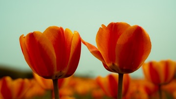 1CD5DD92-0605-44F7-AB88-A5D5D7BA93B3/L0/001