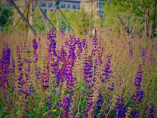 A4B35569-B4B5-4B48-82C5-F04970092987/L0/001