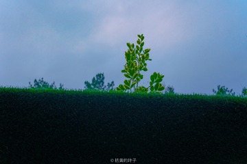 09B07DD0-8E3D-494F-A828-84F8B7AA145D/L0/001
