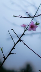 1E358FE2-4763-4267-A862-A0F9264C2CB6/L0/001