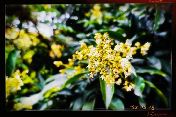 BF6769F6-8D7D-4806-8AB5-E878A0871BB9/L0/001