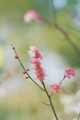 C8730C50-9413-4F9F-BE0E-FC1CC864F943/L0/001