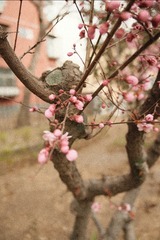 D528AB0A-C7DD-44D5-85CB-39B2BDE8A6F0/L0/001