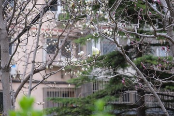 5B7DC320-35D7-4312-A3D2-34AE5C622A87/L0/001