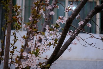 B307621F-E64A-42B7-9688-CB08DE16AF5E/L0/001