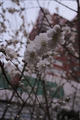 87F8BCA9-4E58-45BB-8BC0-05A9A3707B78/L0/001