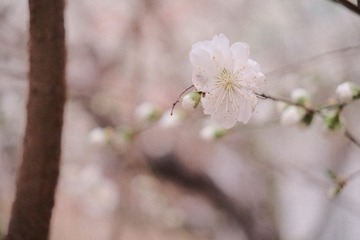 3AD88B60-E8B8-4627-A1FC-A92E511F1E77/L0/001