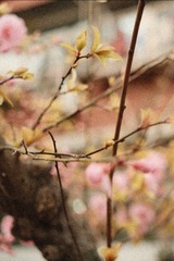 52E941A6-0FF6-4679-AEA6-9A6E01054D2B/L0/001