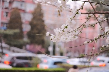 C7891B3A-2990-4F9E-A8F3-56DB66EA6D0D/L0/001