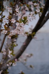 882F62F5-4522-45E3-A322-AF4528512959/L0/001