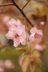 A9C12FB0-B893-40B2-95C5-B6FC0AD19665/L0/001