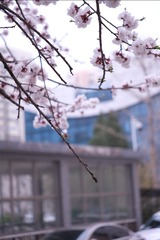 9FF4D782-8704-44A9-AD30-951EB72E3585/L0/001