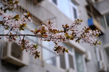 B474D46B-FE88-4BC0-B510-AE562640556E/L0/001