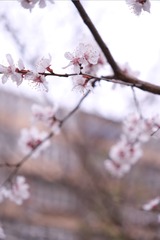 C23E6818-C95A-4B1A-B973-512EE10F09C9/L0/001