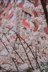 615F494E-0B31-4E8C-8BCF-56AC19617CE1/L0/001