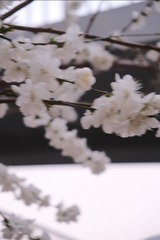 8938F55E-3109-4C49-9B2B-6343791783E1/L0/001