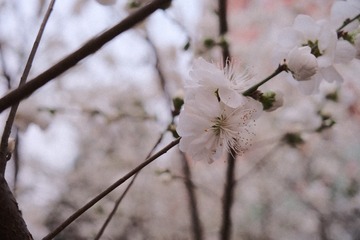 6F9A3188-9E05-4E44-ADD0-FE5555C5DD46/L0/001