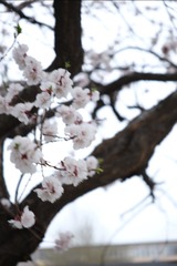 67D43E48-EA97-4037-B0E0-631C5D91F579/L0/001