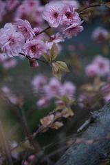 3A7C4370-9603-43AF-94D3-B863A84B9FB1/L0/001