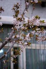B7E100B6-EEF7-4D44-919F-6E68E0EBB48C/L0/001