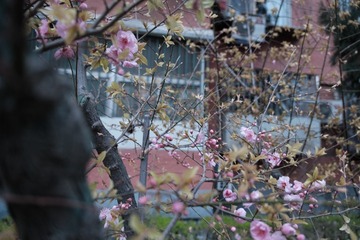 35780526-7D98-4A31-9B46-251FCFCD5545/L0/001