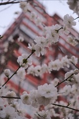 7B727D4A-CD15-4DC5-B114-5C00B0AD8FD5/L0/001