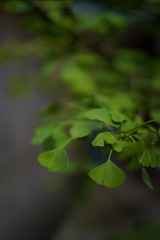 A9885006-50B2-4C3C-8DAC-EE5A9A5BAE8B/L0/001