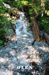 DSC_0055.jpg