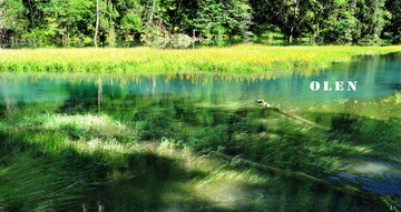 DSC_0064.jpg