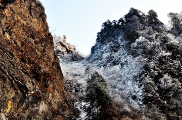 DSC_0247.jpg
