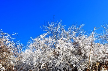 DSC_0276.jpg