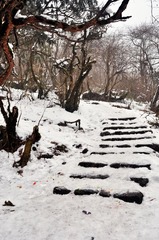 DSC_0223.jpg