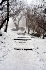 DSC_0231.jpg