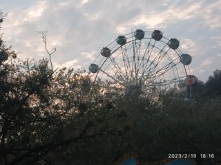 7365