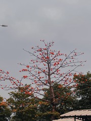5F40E518-602D-487C-B155-78684256E8E8/L0/001