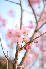 C685FE51-7046-4BEE-B076-689F6E5FAB68/L0/001