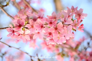 346A42F6-9756-46EB-956E-AD140C52B6DD/L0/001